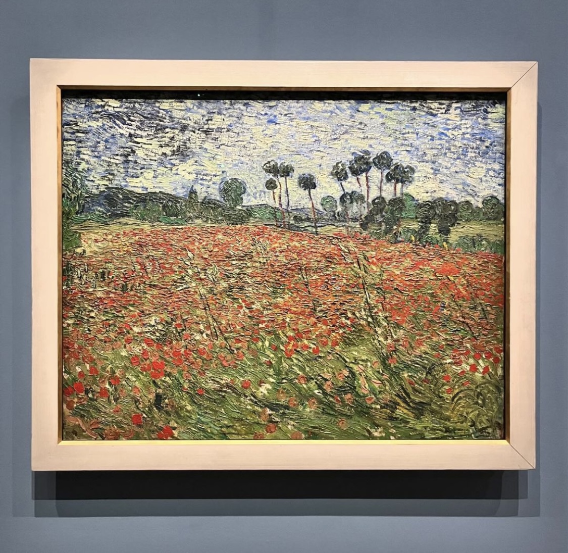 オルセー美術館_ゴッホ展_ひなげし畑_デン・ハーグ美術館