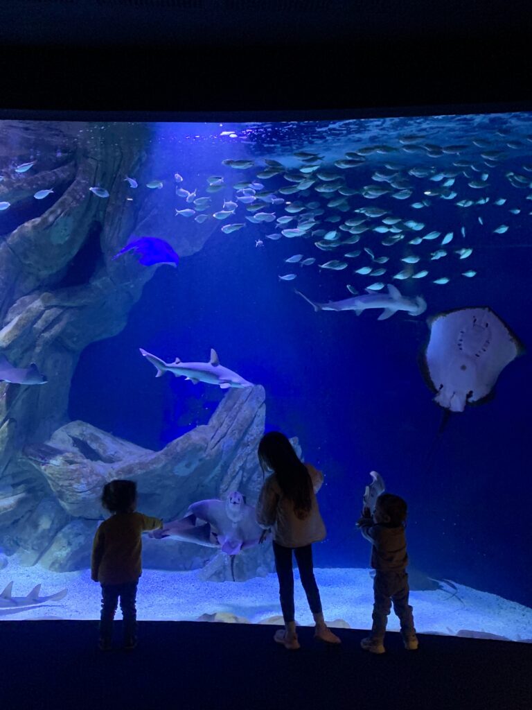 ラ・ロシェル水族館