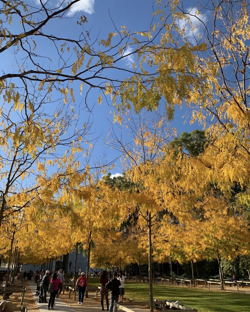 リュクサンブール公園